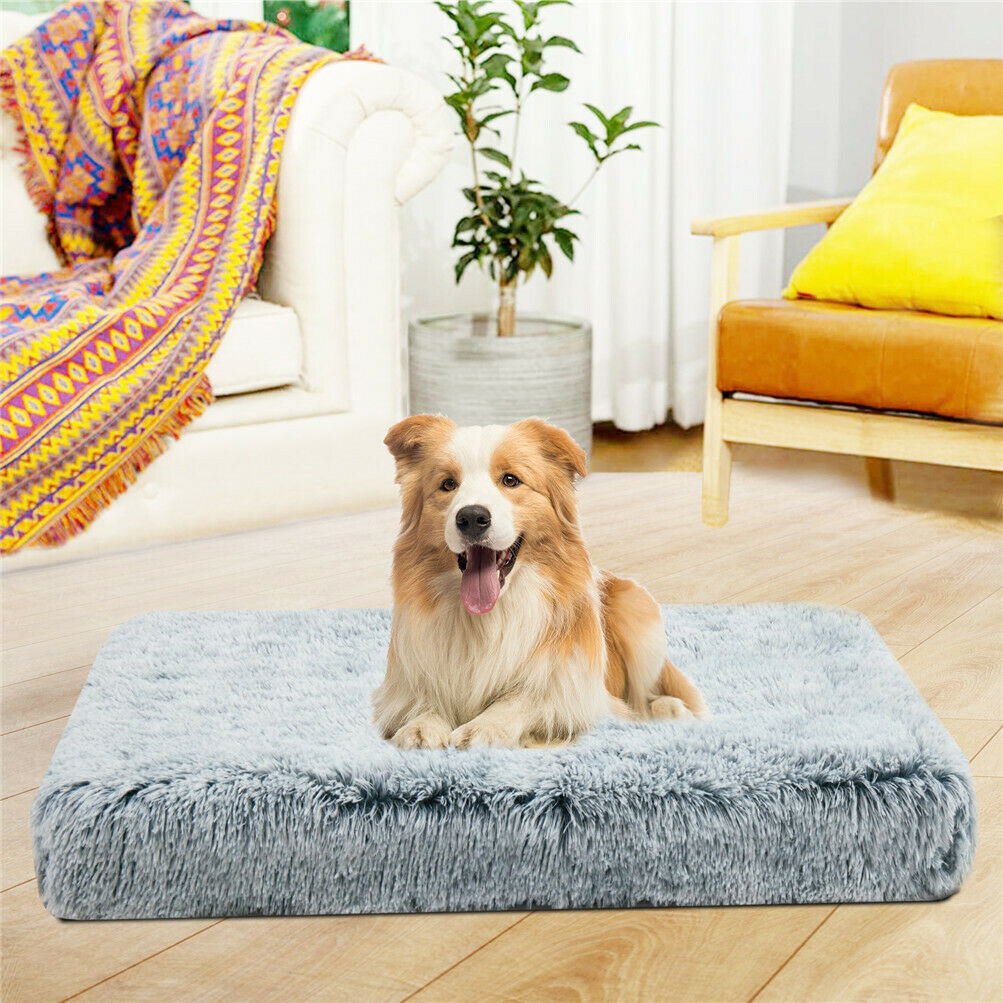 Deluxe Dog Bed