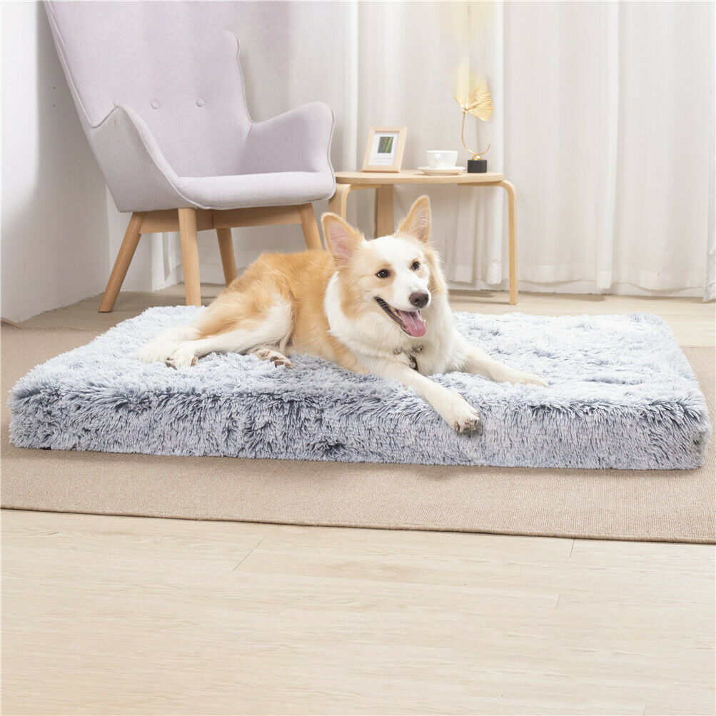 Deluxe Dog Bed